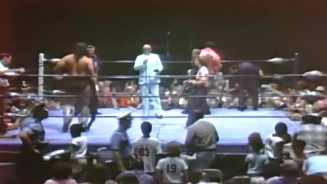 Bruiser Brody vs. Rocky Johnson
