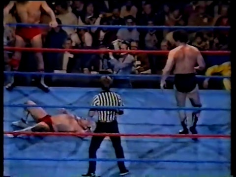 Ronnie Garvin and Buddy Roberts vs Giant Baba and Tenyru (Japan)