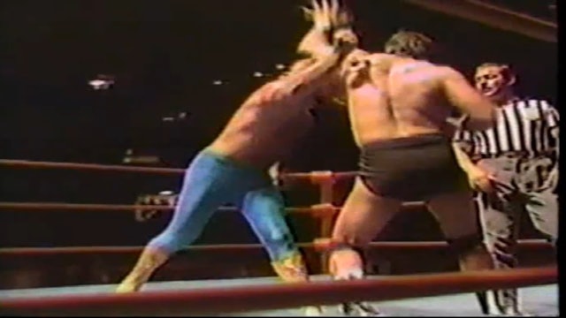 Rick Martel vs. Micheal Hayes