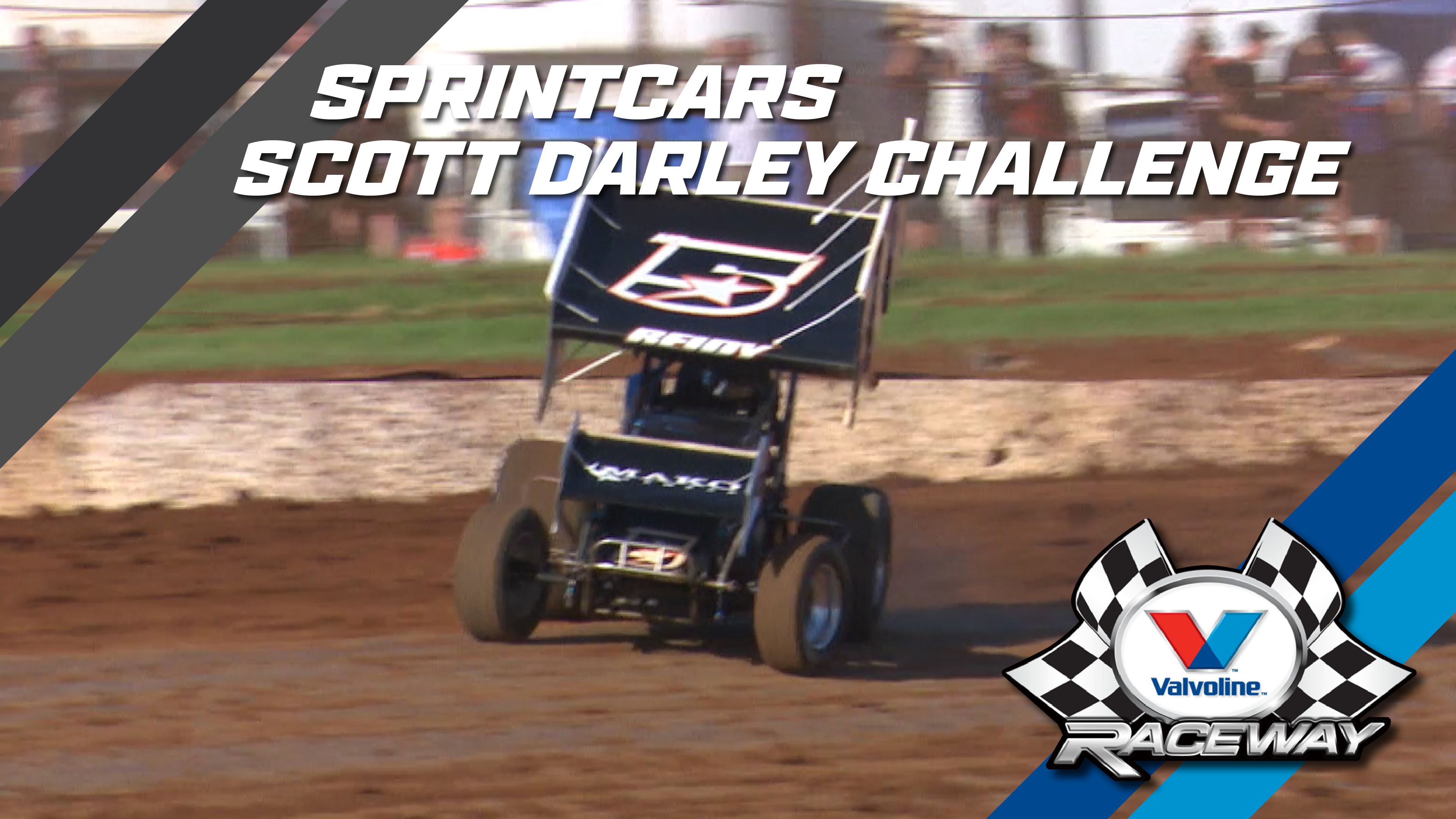 14th Jan 2017 | Sydney - Scott Darley Challenge N2