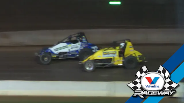 1st Feb 2020 | Sydney - Wingless Spri...