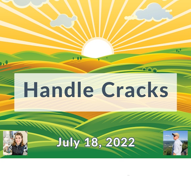 Handle Cracks