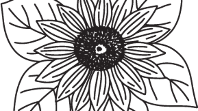 Sunflower-4.png