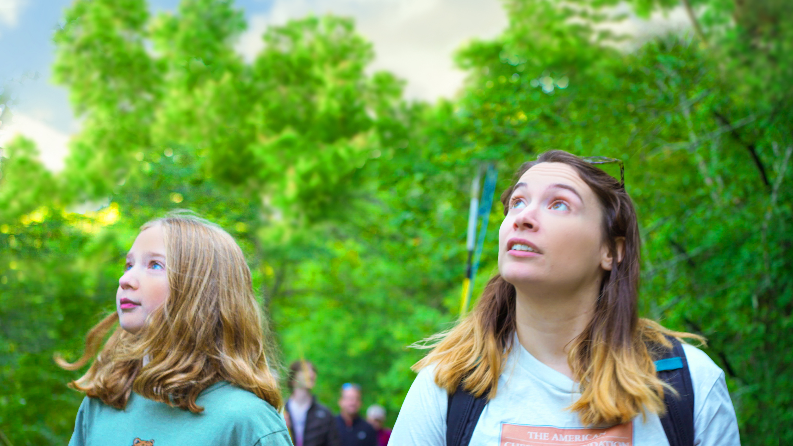 Clear Day Thunder - Press Release