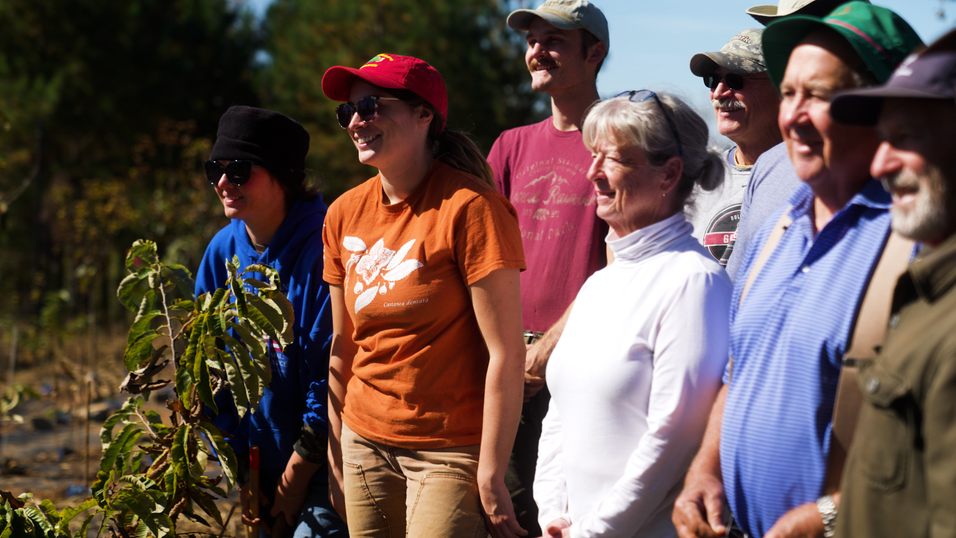 The American Chestnut Foundation | Clear Day Thunder