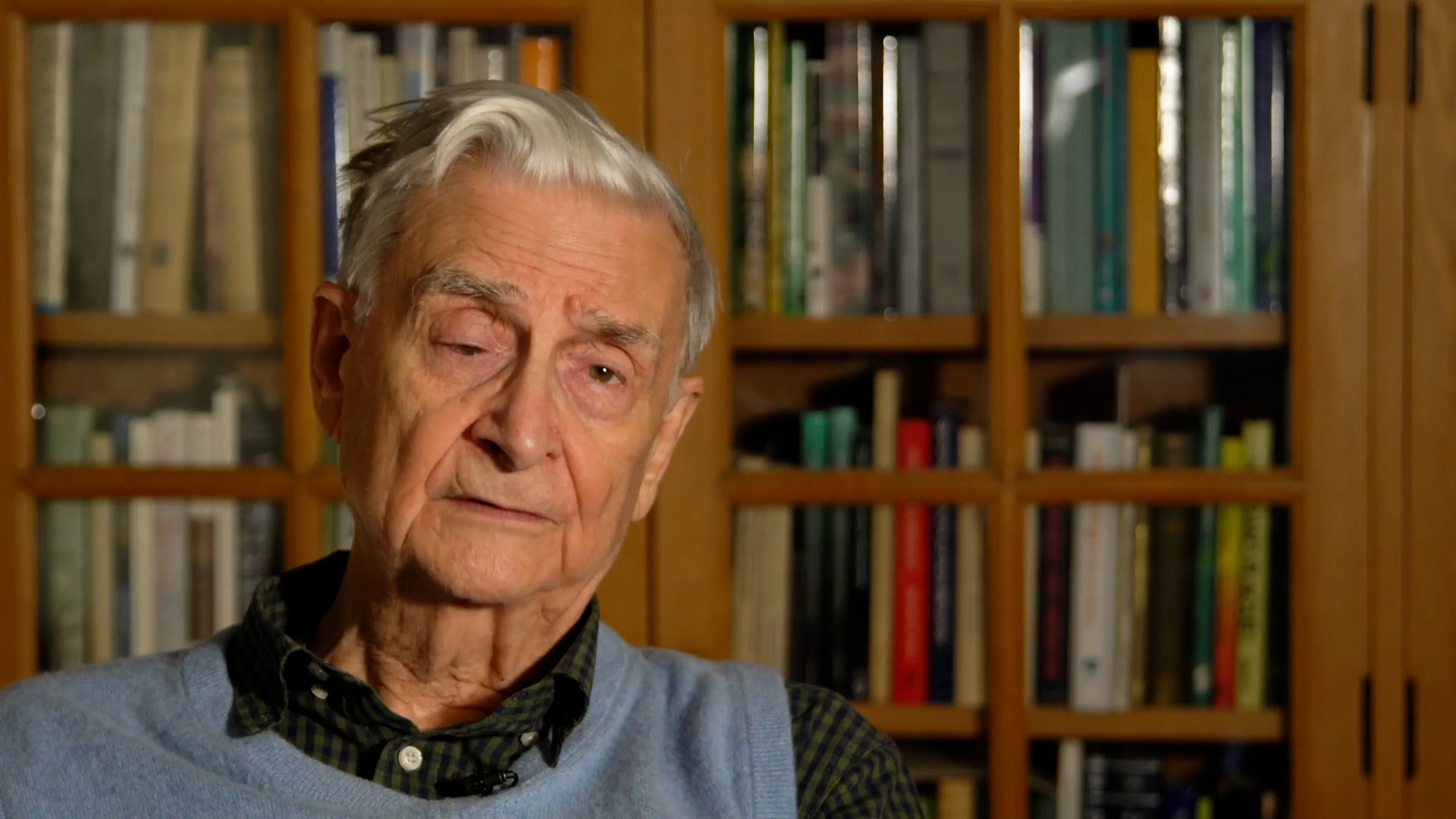 The American Chestnut Foundation | Clear Day Thunder