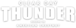 The American Chestnut Foundation | Clear Day Thunder