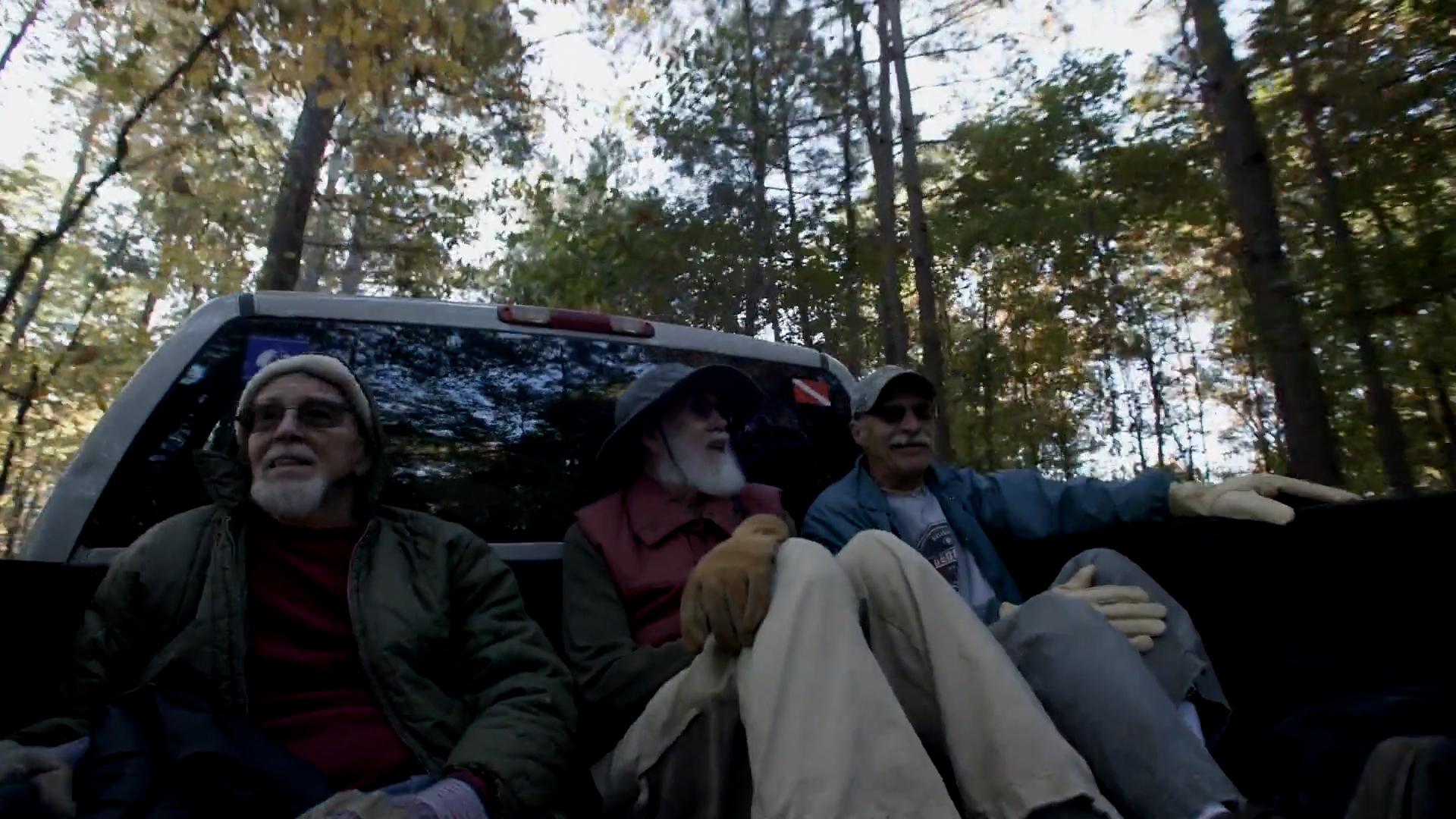 The American Chestnut Foundation | Clear Day Thunder