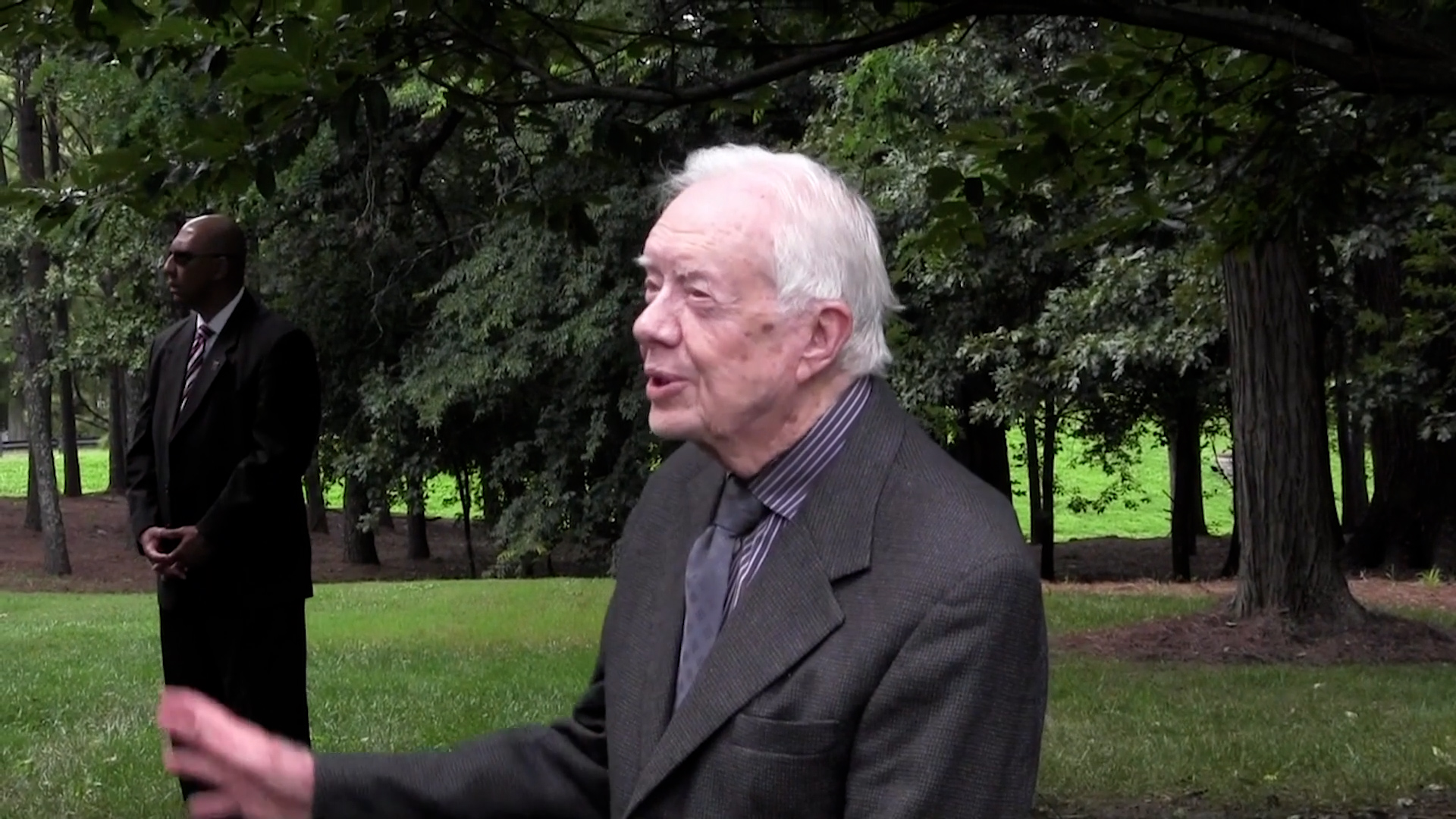 The American Chestnut Foundation | Clear Day Thunder