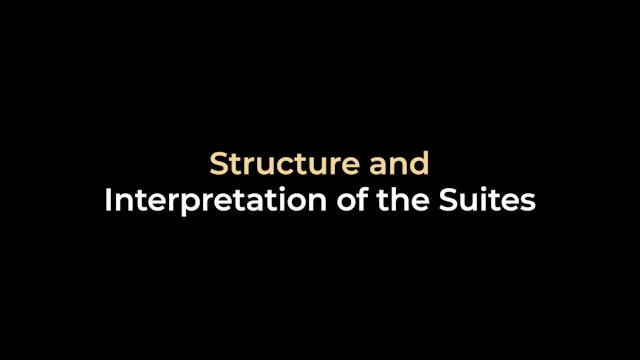 Structure and Interpretation of the Suites