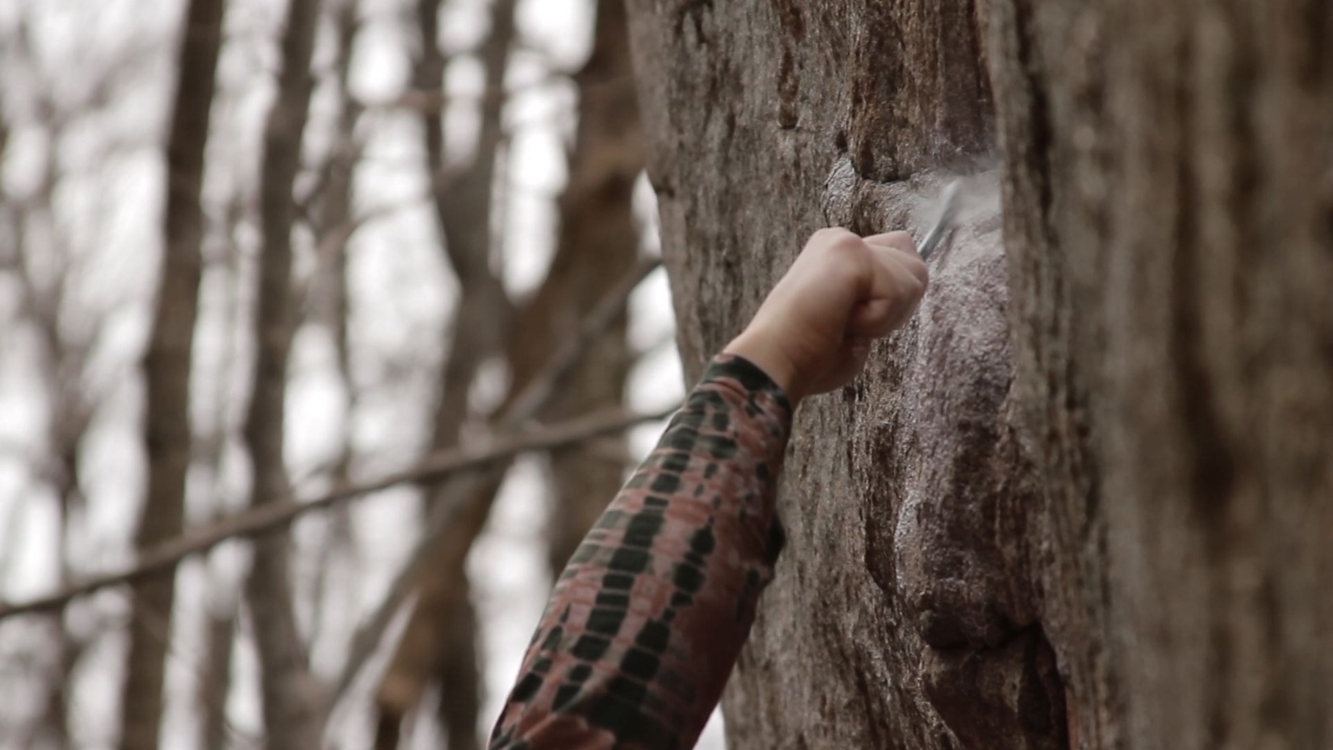 Bouldering: 5. Brushing Holds