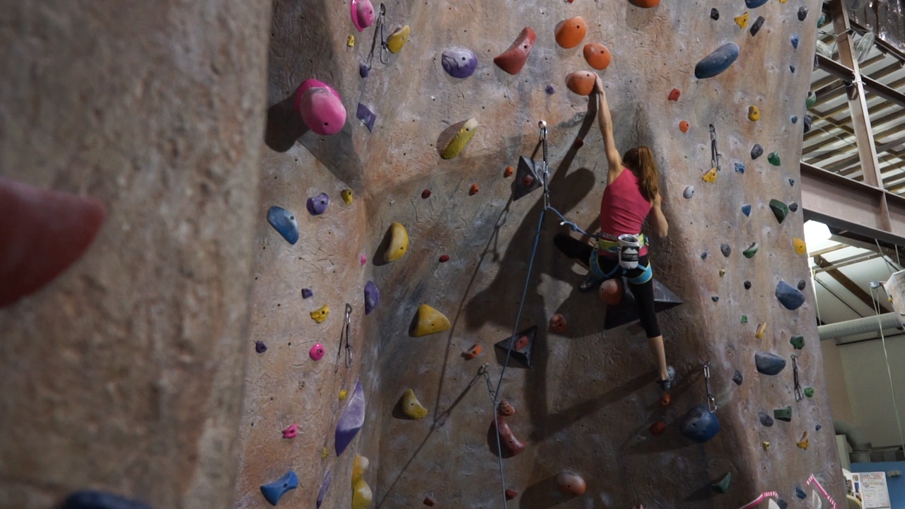 Gym Lead Climbing