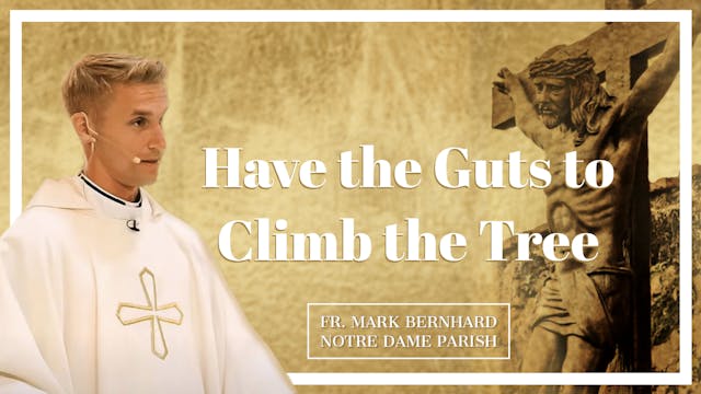 Have the Guts to Climb the Tree | Sun...