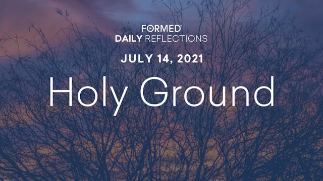 Daily Reflections – July 14, 2021