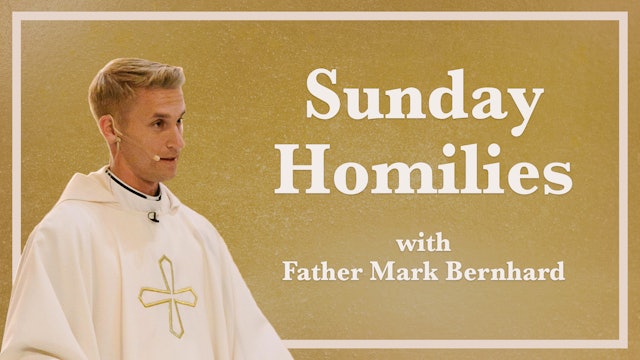 Sunday Homilies from Fr. Mark Bernhard