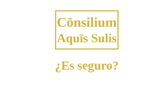 5. ¿Es seguro? (Español)