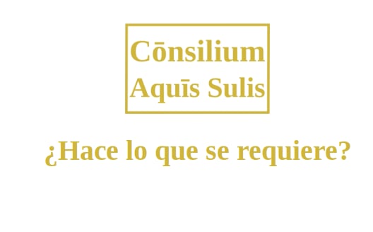 4. ¿Hace lo que se requiere? (Español)