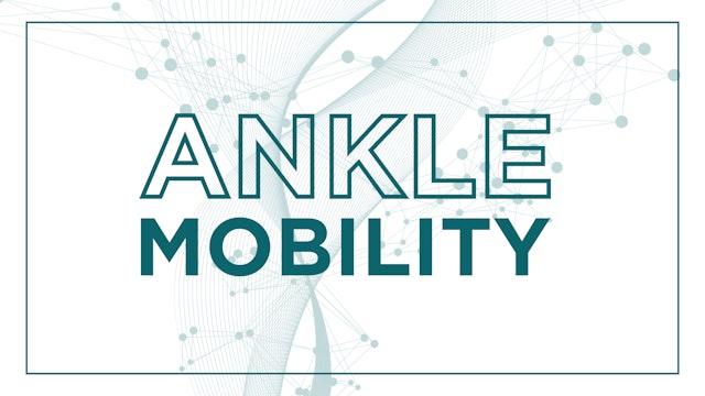 Ankle Mobility