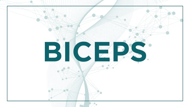Biceps 6: How to 'Find' Your Biceps!