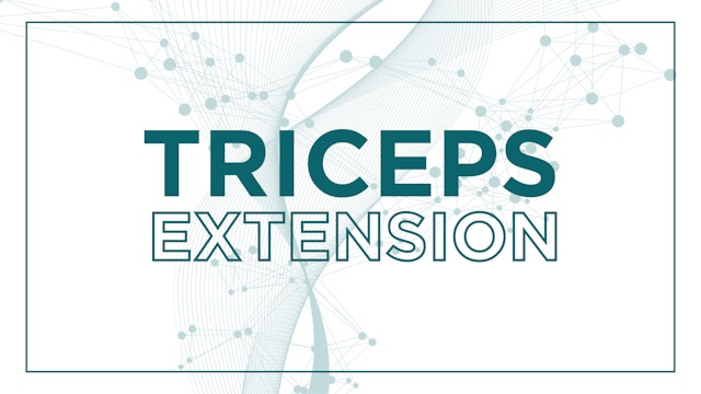 Triceps Rope Extensions
