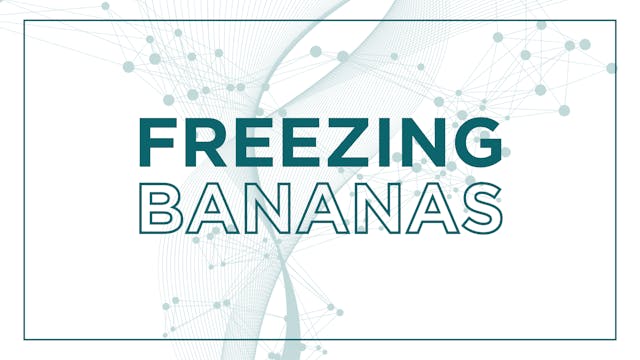 Freezing Bananas