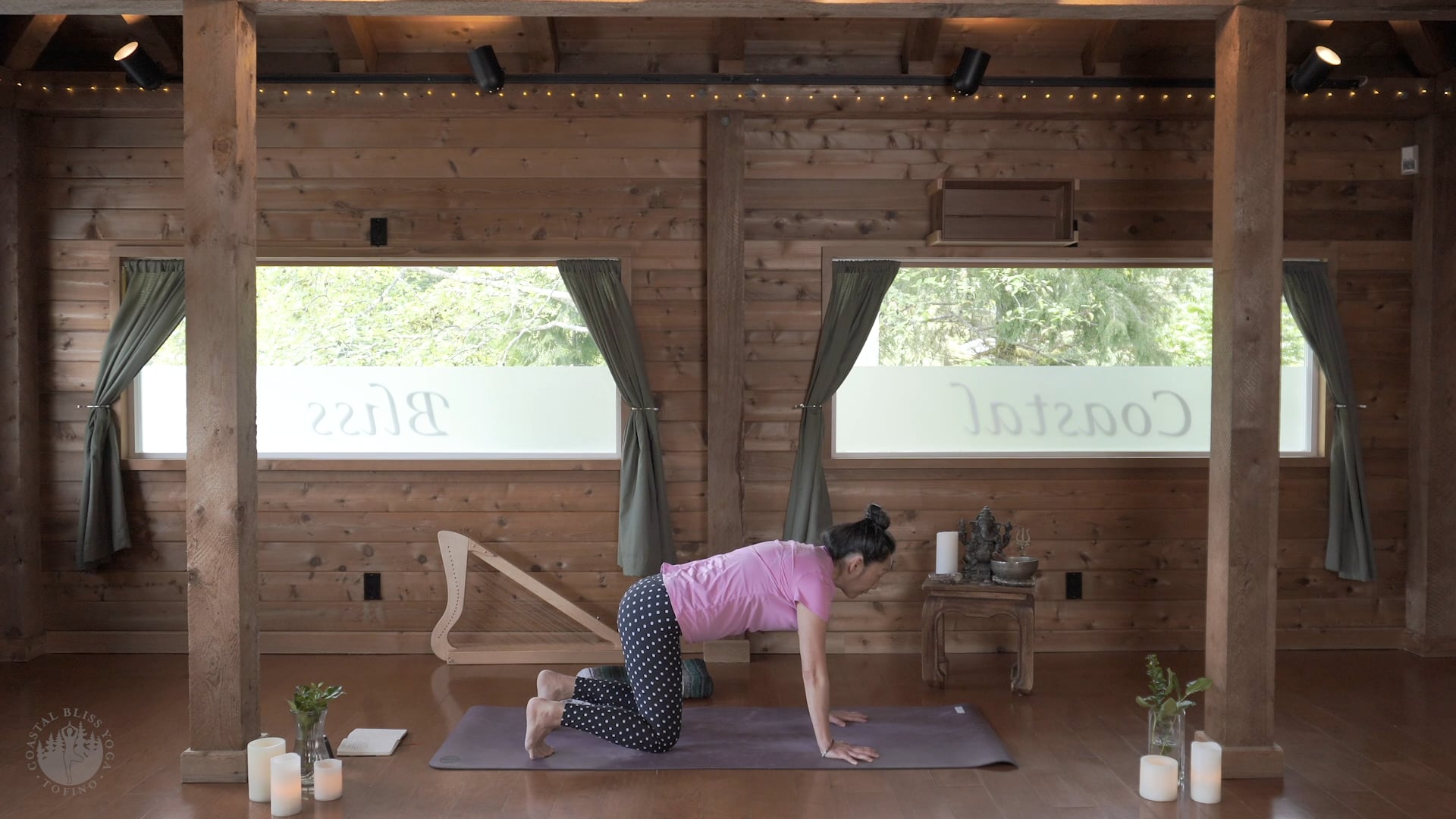 Heidi [40m All Levels] Yoga for the Low Back