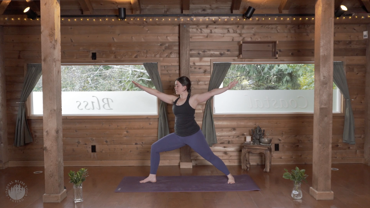 Jacky [55m Intermediate] Anchor into Stability, Peak Pose: Astavakrasana