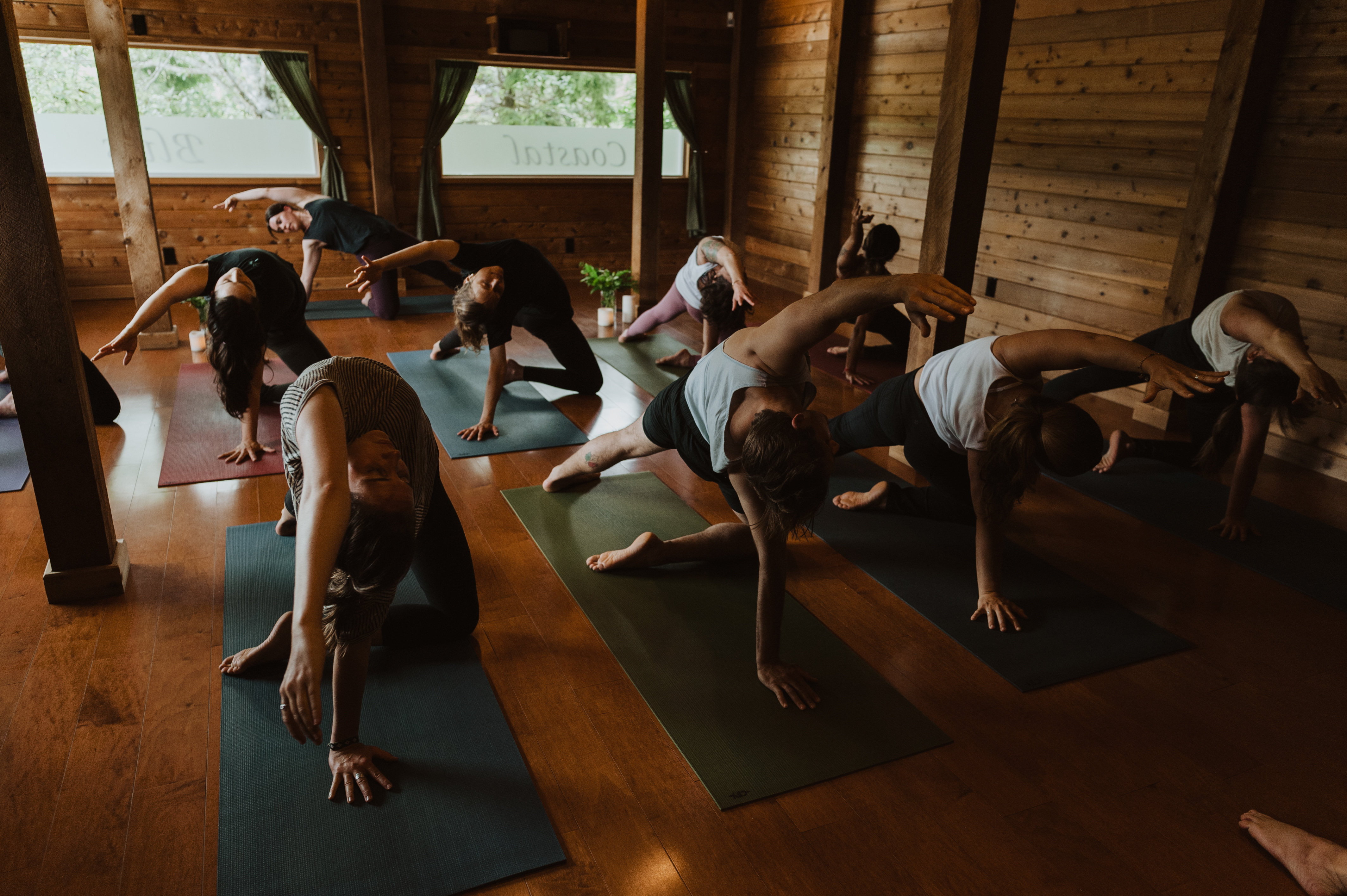 Vinyasa [Intermediate & Progressive]