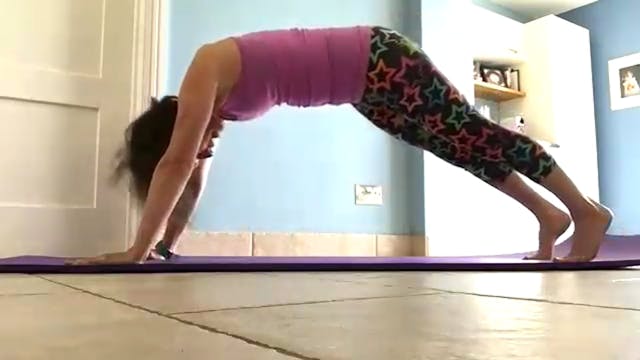 44 - Experienced Level With Lower Bod...