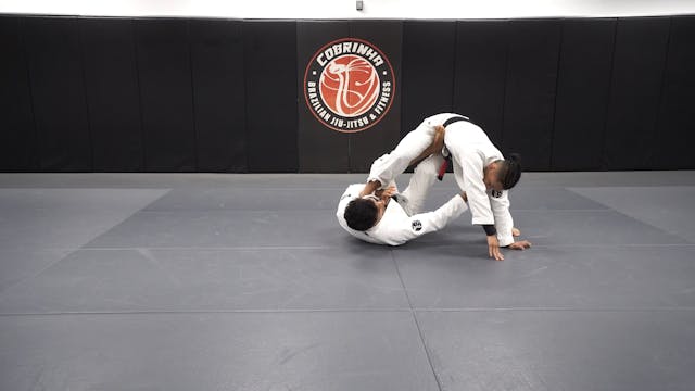 Entering the Butterfly Ashi with Cobr...