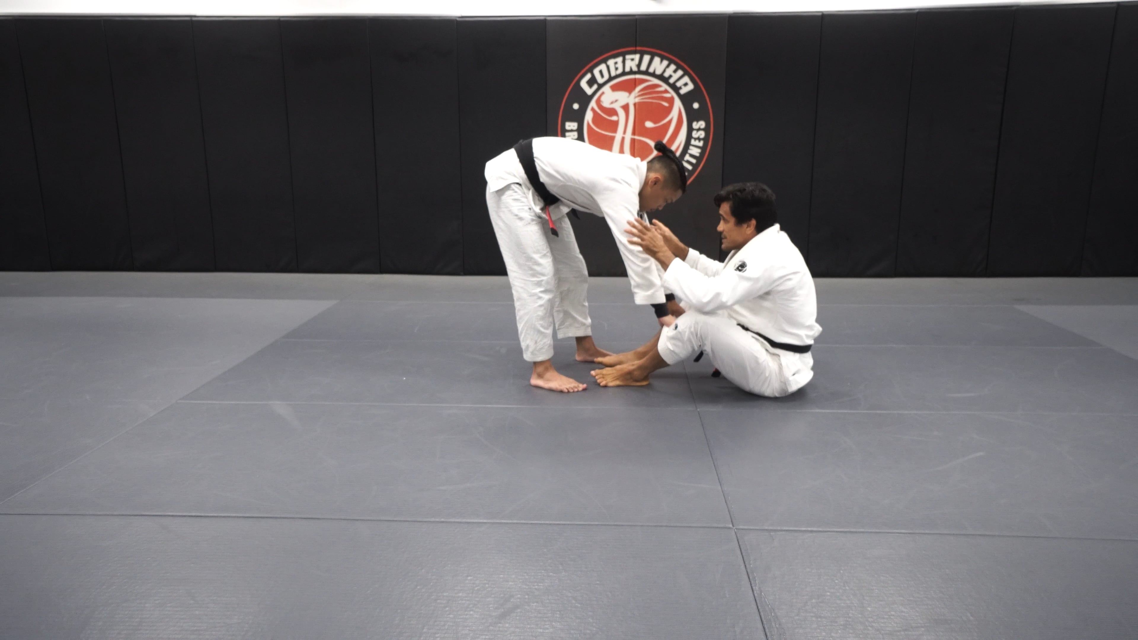 Cobra Guard to Butterfly Ashi Footlock