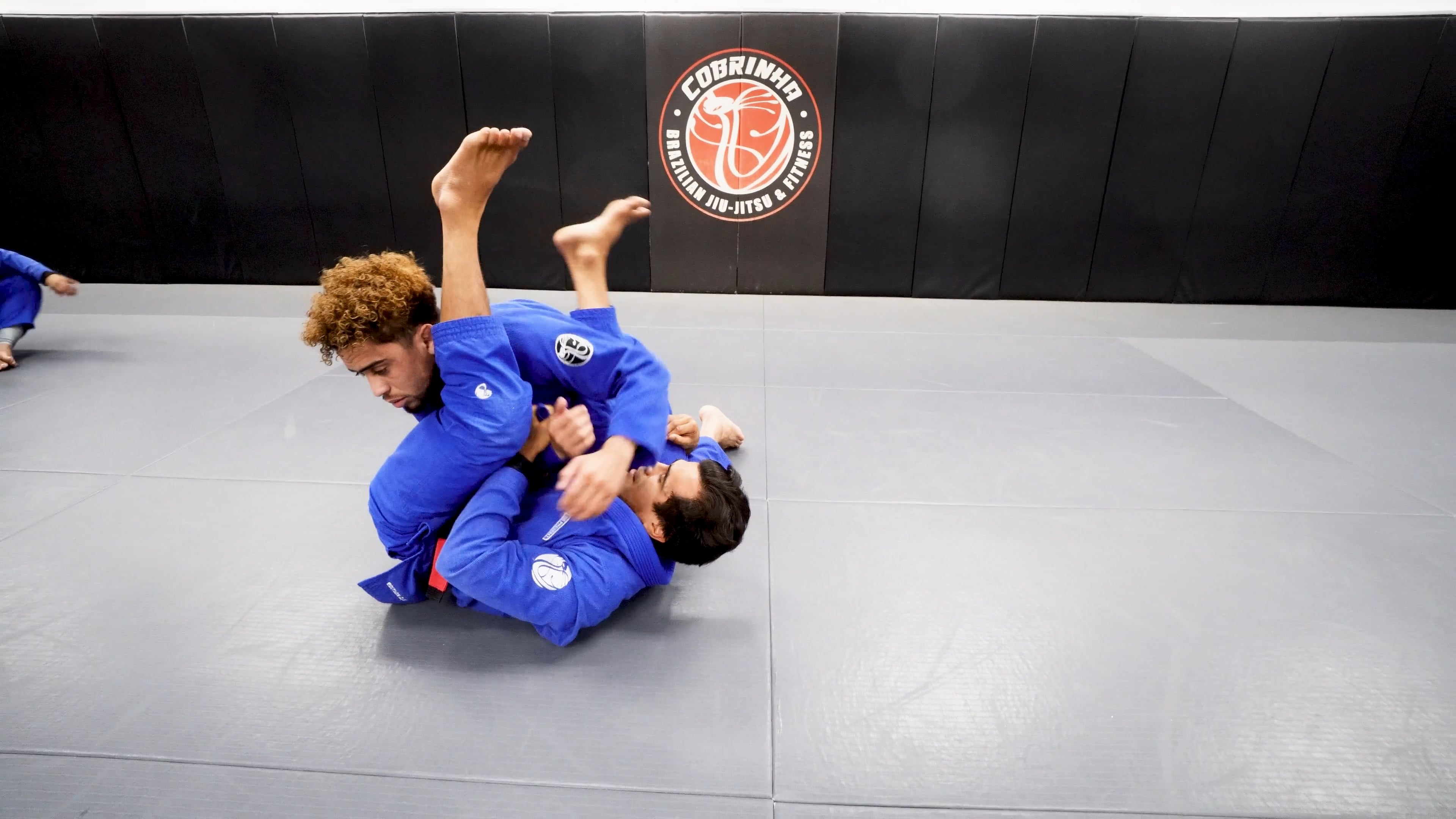 Trap and Roll, Arm Bar, Flower Sweep Holding The Leg, Spider Mount 4 Times