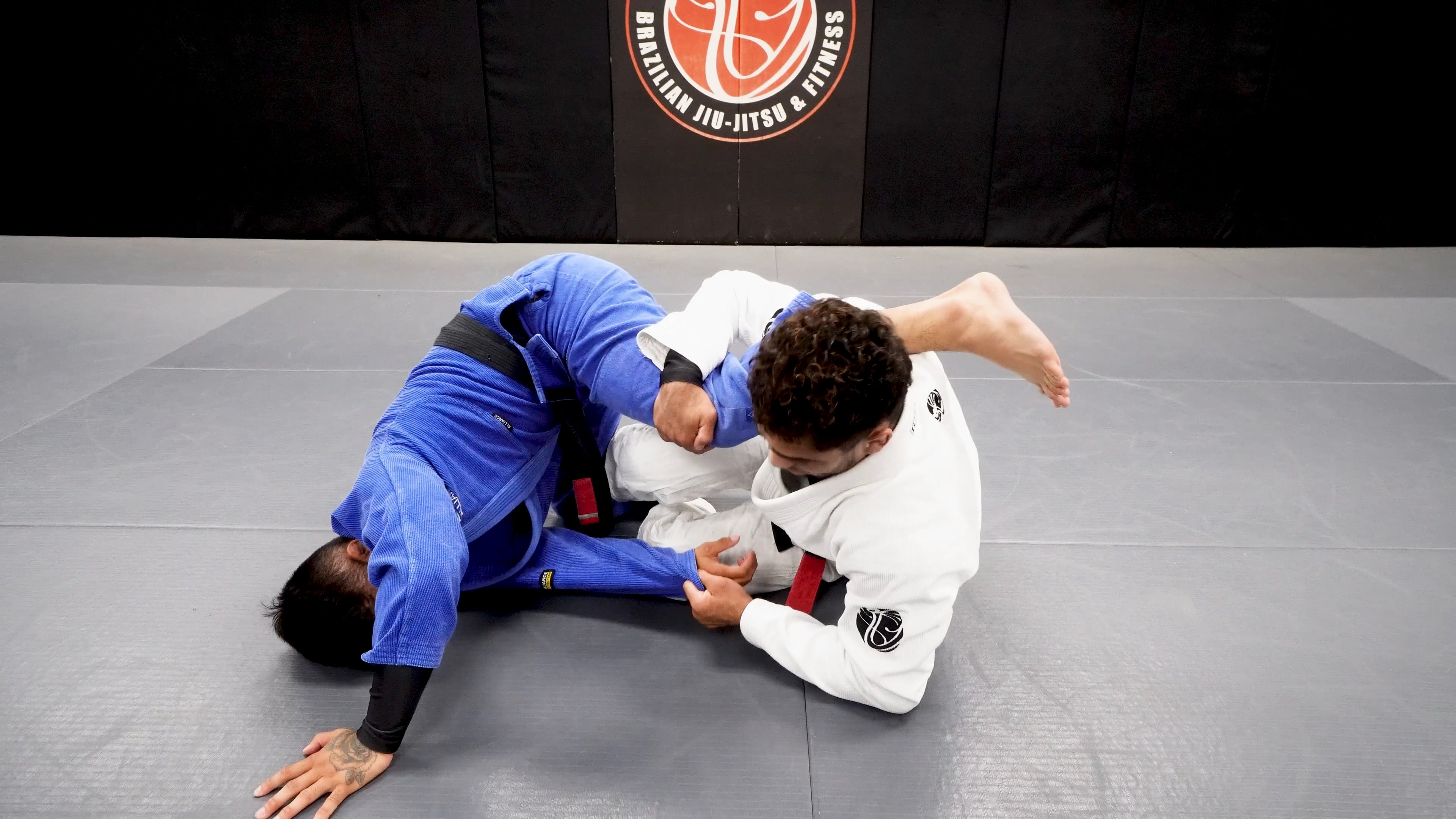 Modified Spider Guard, Modified Single X, Single X To Knee On Belly