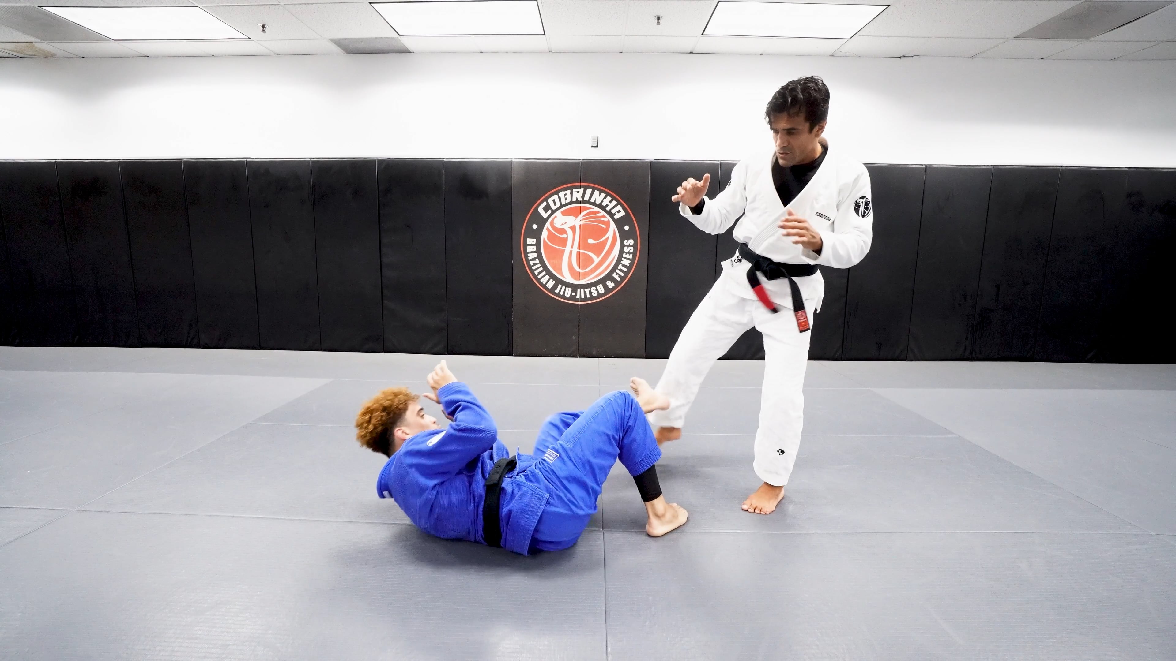 Seesaw Guard, Blocking The Kicks, Bullfighter Pass, Leg Drag, Single Leg Shield