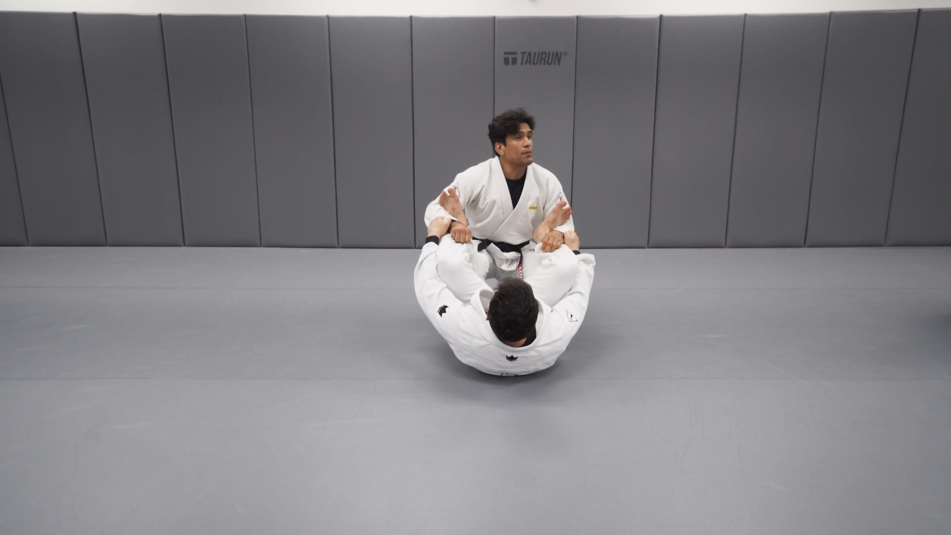 Spider Guard Bullfighter Pass