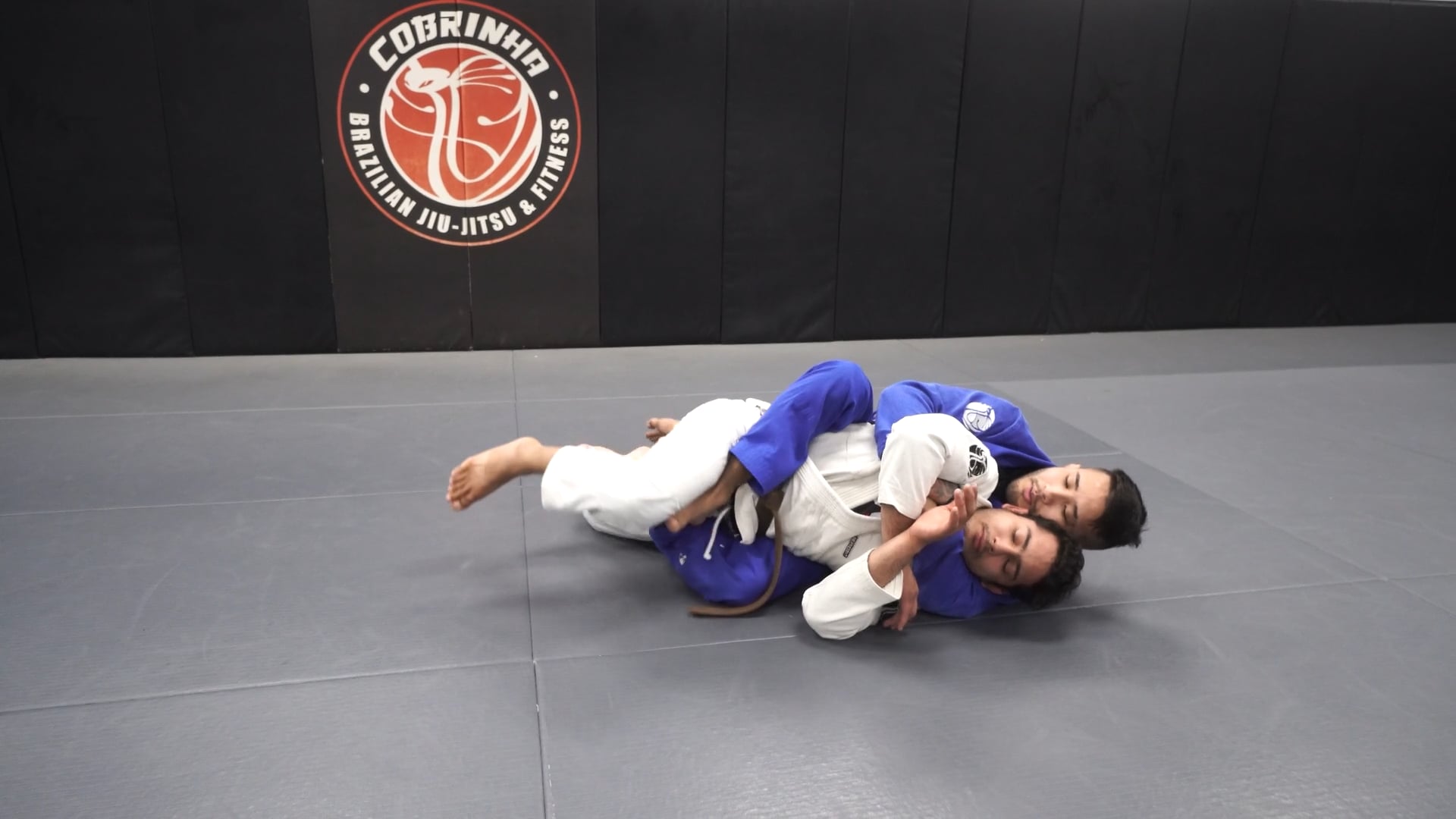 Folder Pass: Horse Kick Finish to Modified Seatbelt Backtake & Zipper Choke
