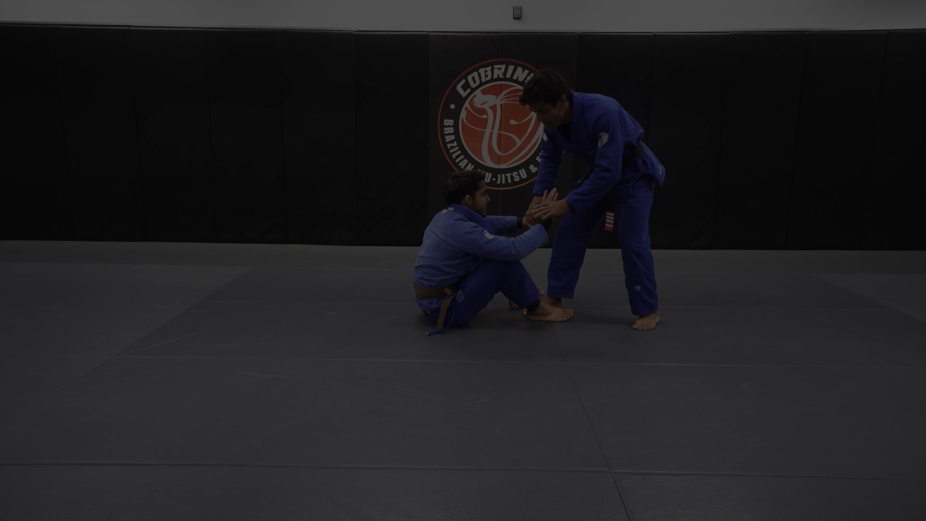 Luxury Grip Passing: Economical Grip Concept