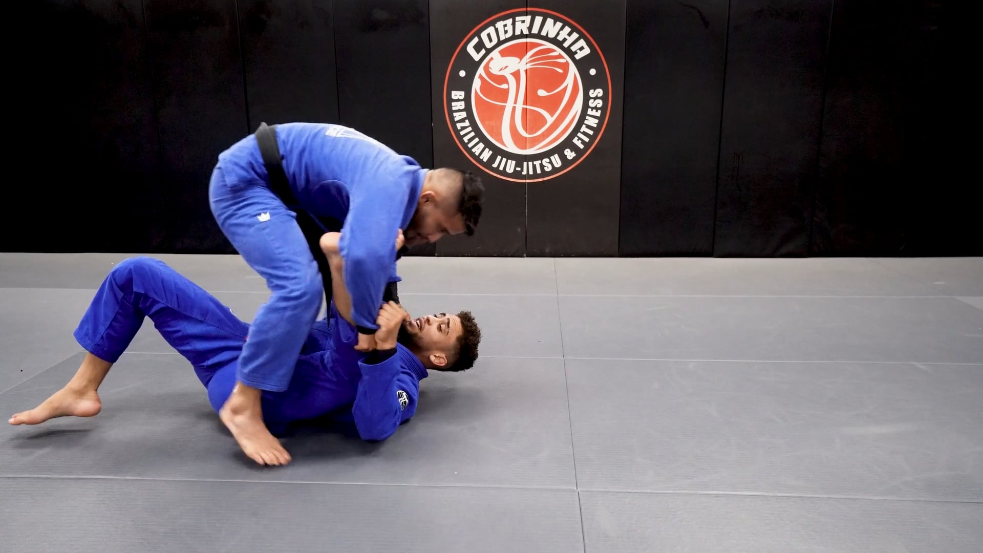 Modified Spider Guard, Modified Single X, Single X To Knee On Belly