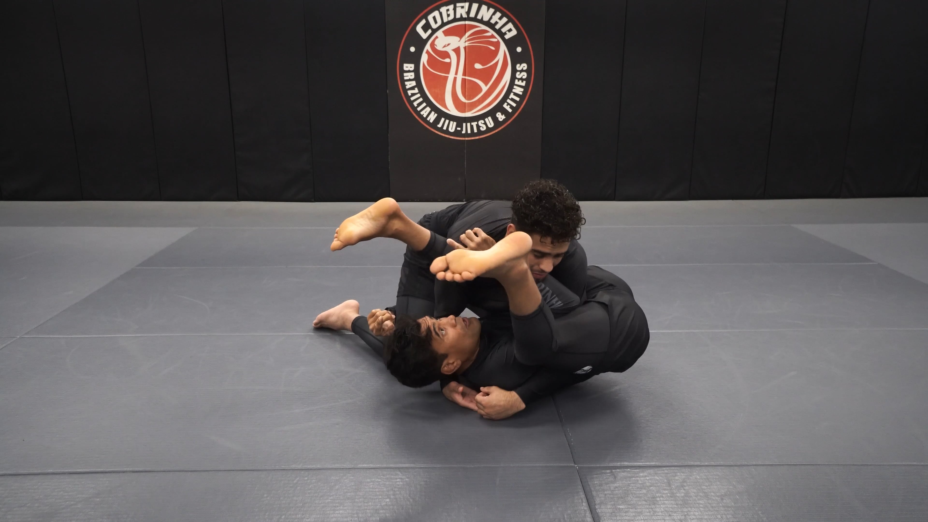 Closed Guard Shoulder Crunch K Guard to Foot Lock 
