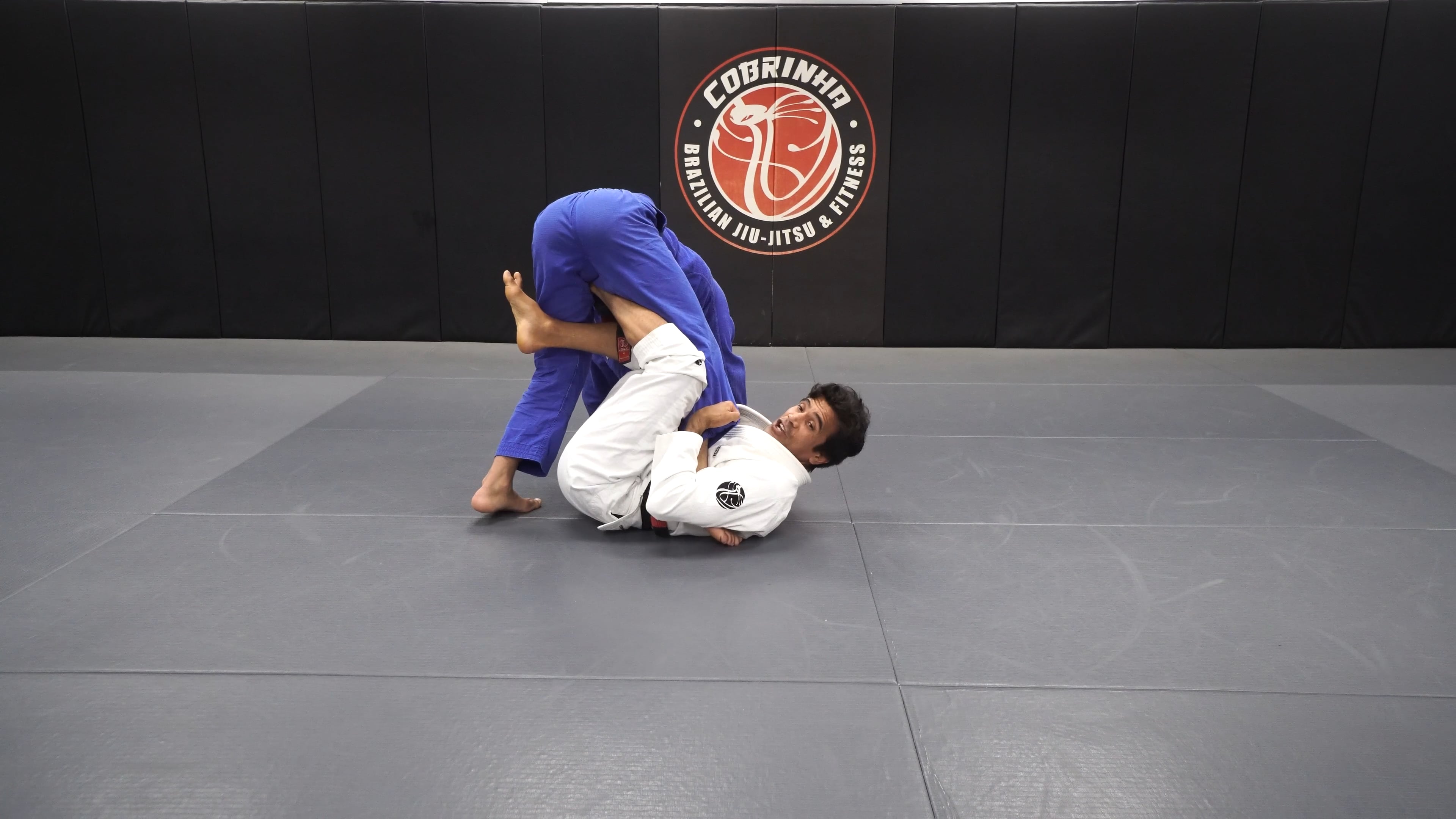 Concepts: Footlock Control and Breaking Mechanics and Butterfly Ashi Entries