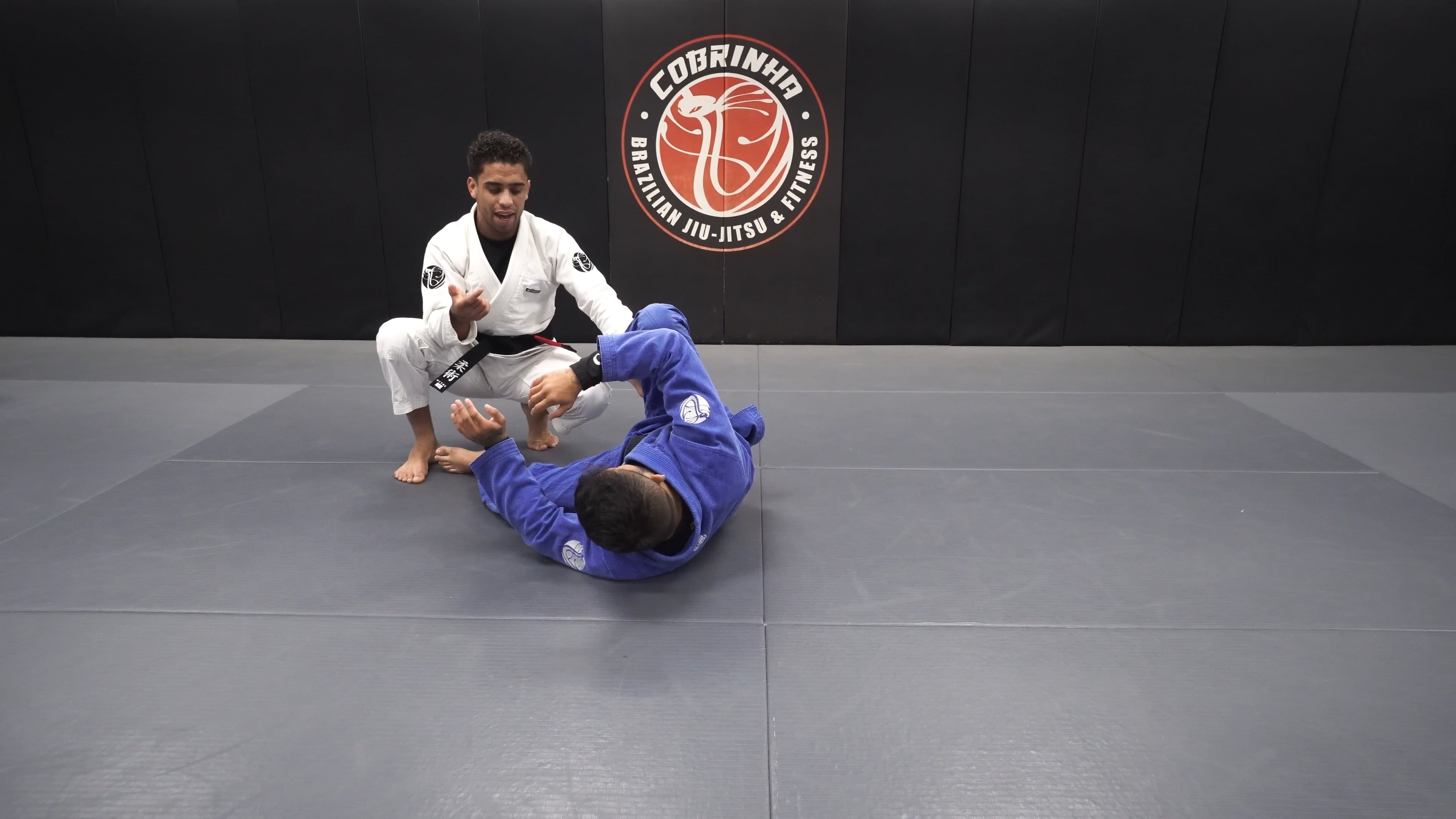 Outside Passing Series: Front & Back Door Finishes