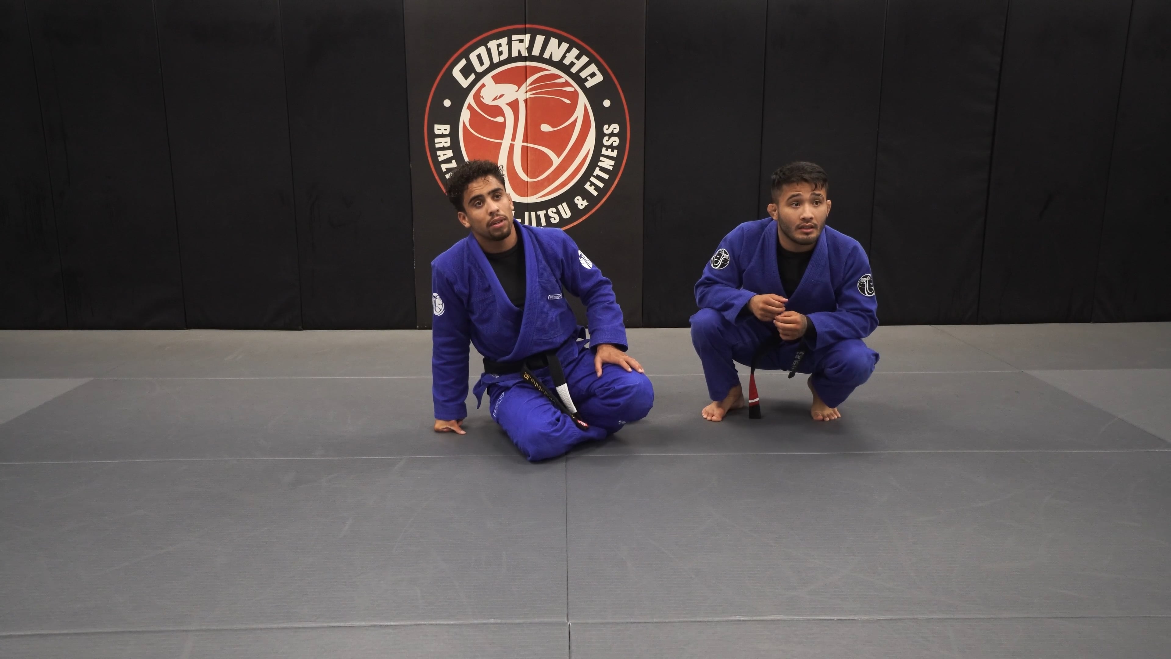 Cobra Guard Set Up to the SLX Footlock Series