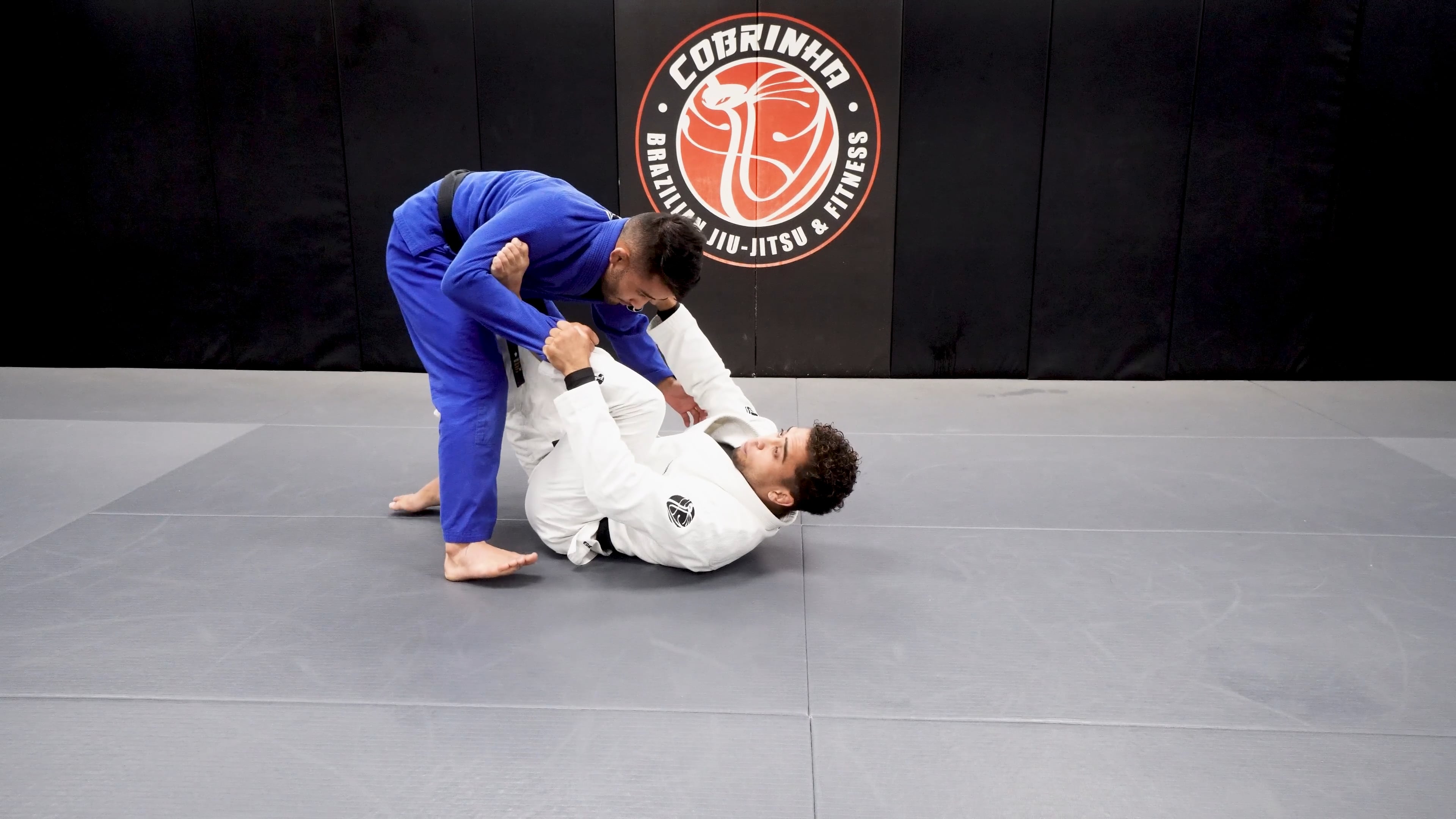 Modified Spider Guard, Modified Single X, Single X To Knee On Belly