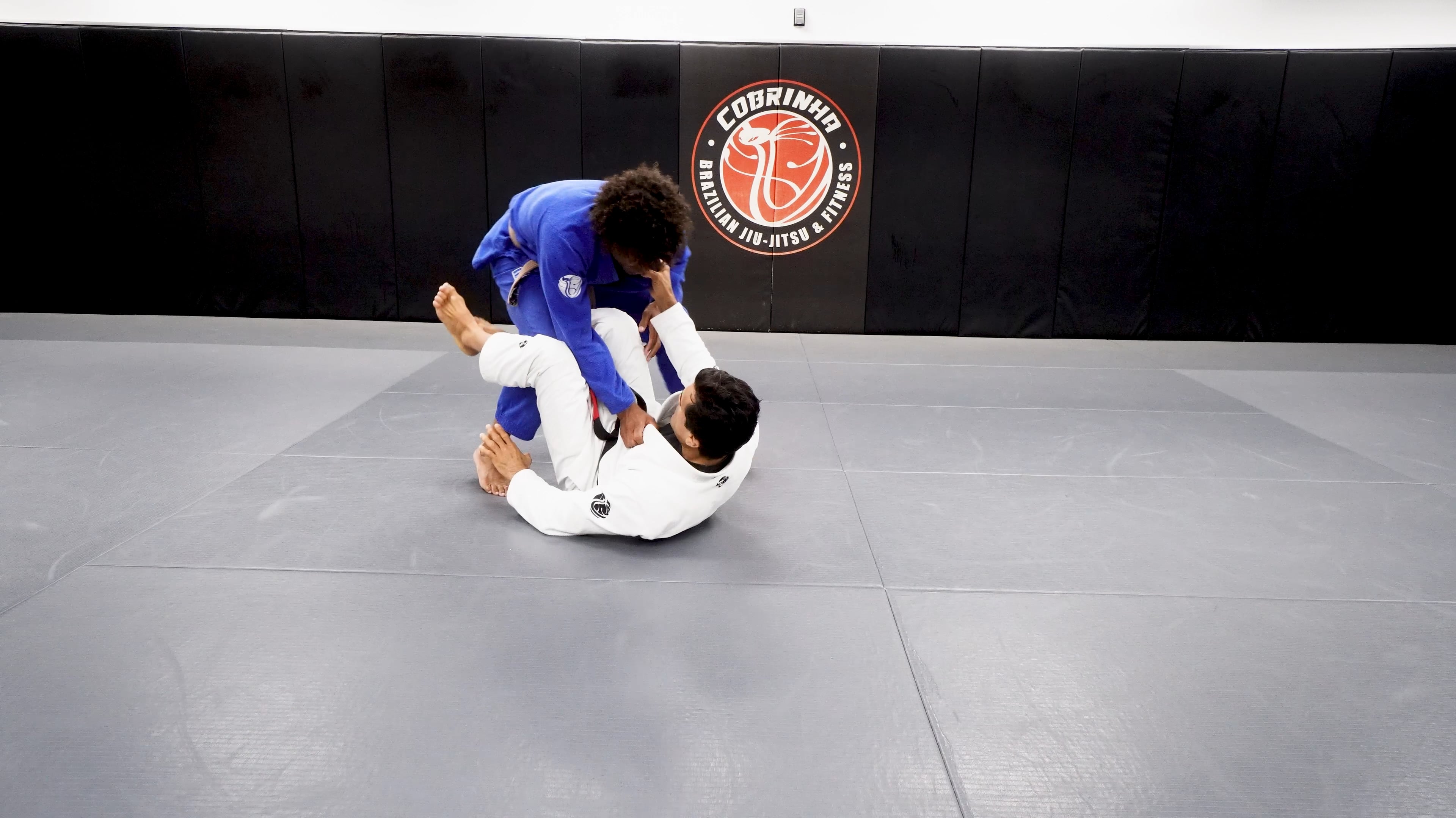 X Guard Entries: Cobra, Z Guard & Modified Spider Series