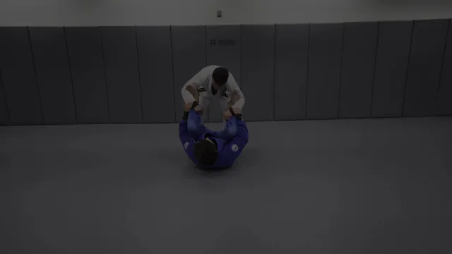 Breaking the Spider Guard to Bullfigh...