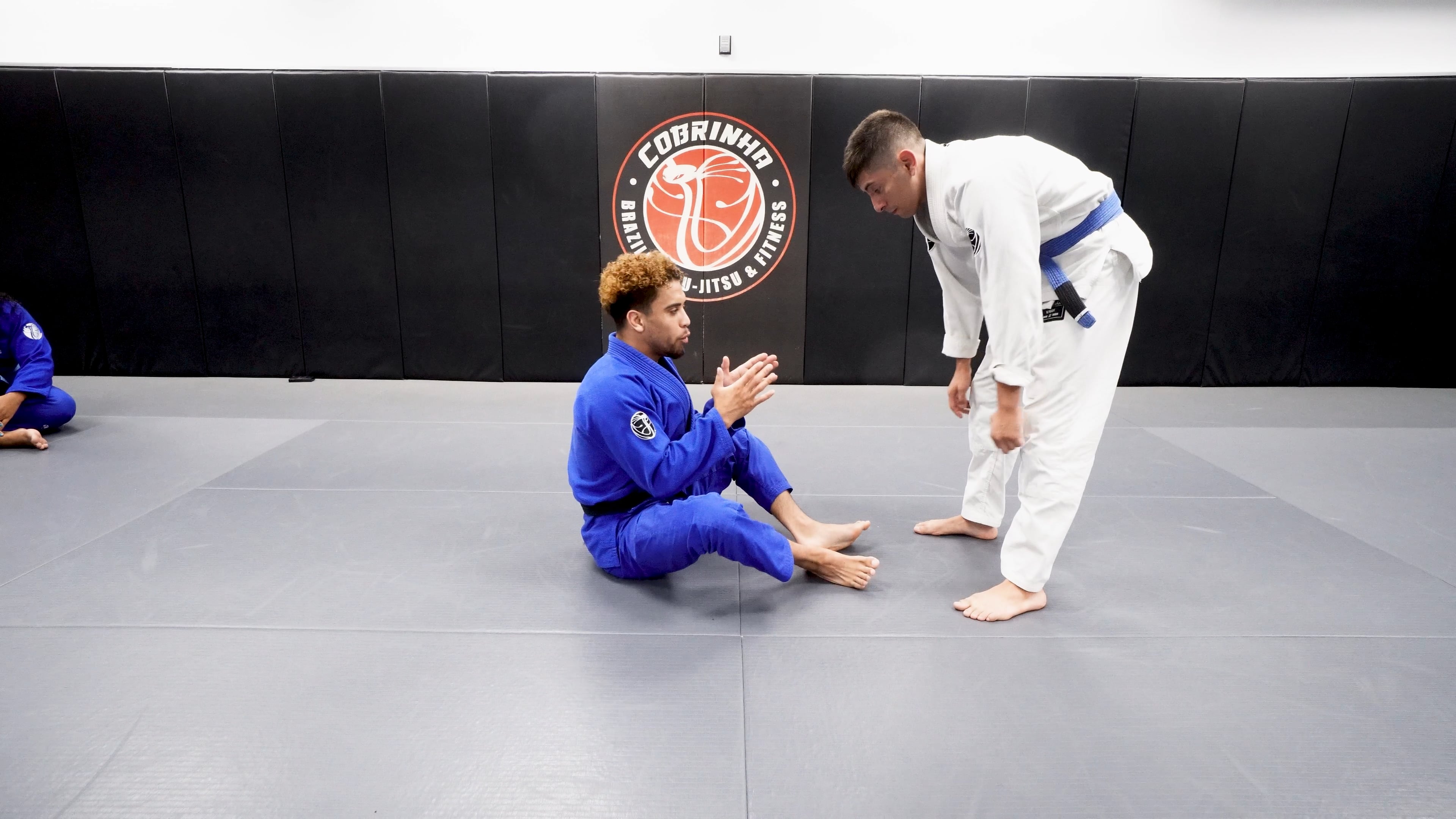 4 Points Of Connection To Sit Up Guard