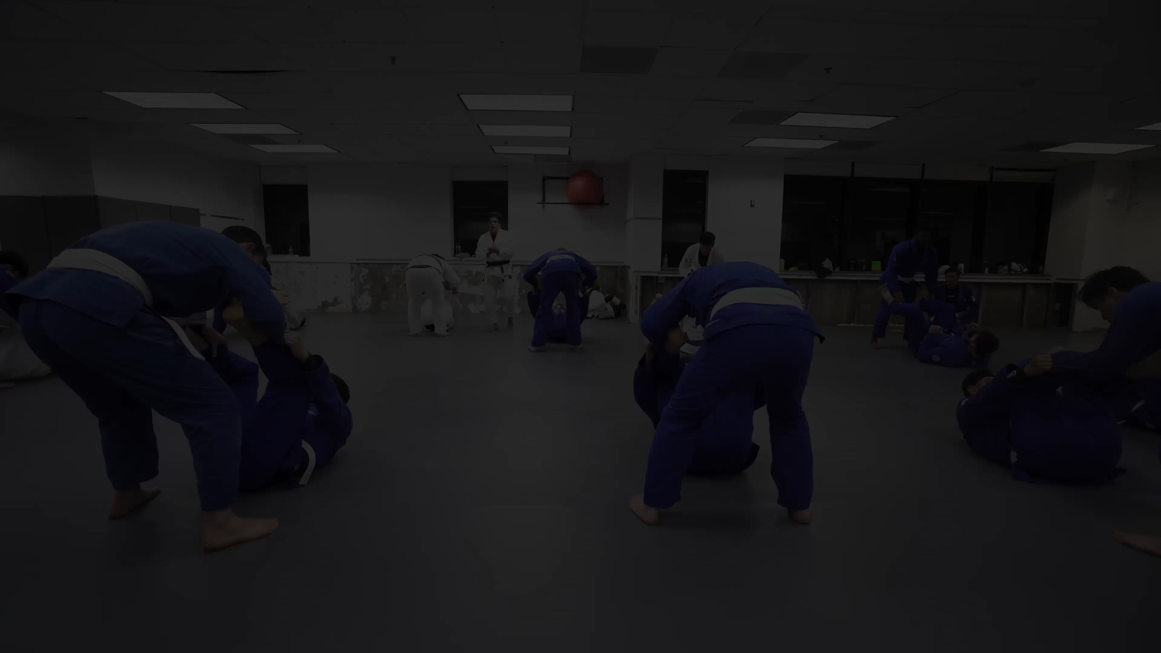 Spider Guard Partner Drill