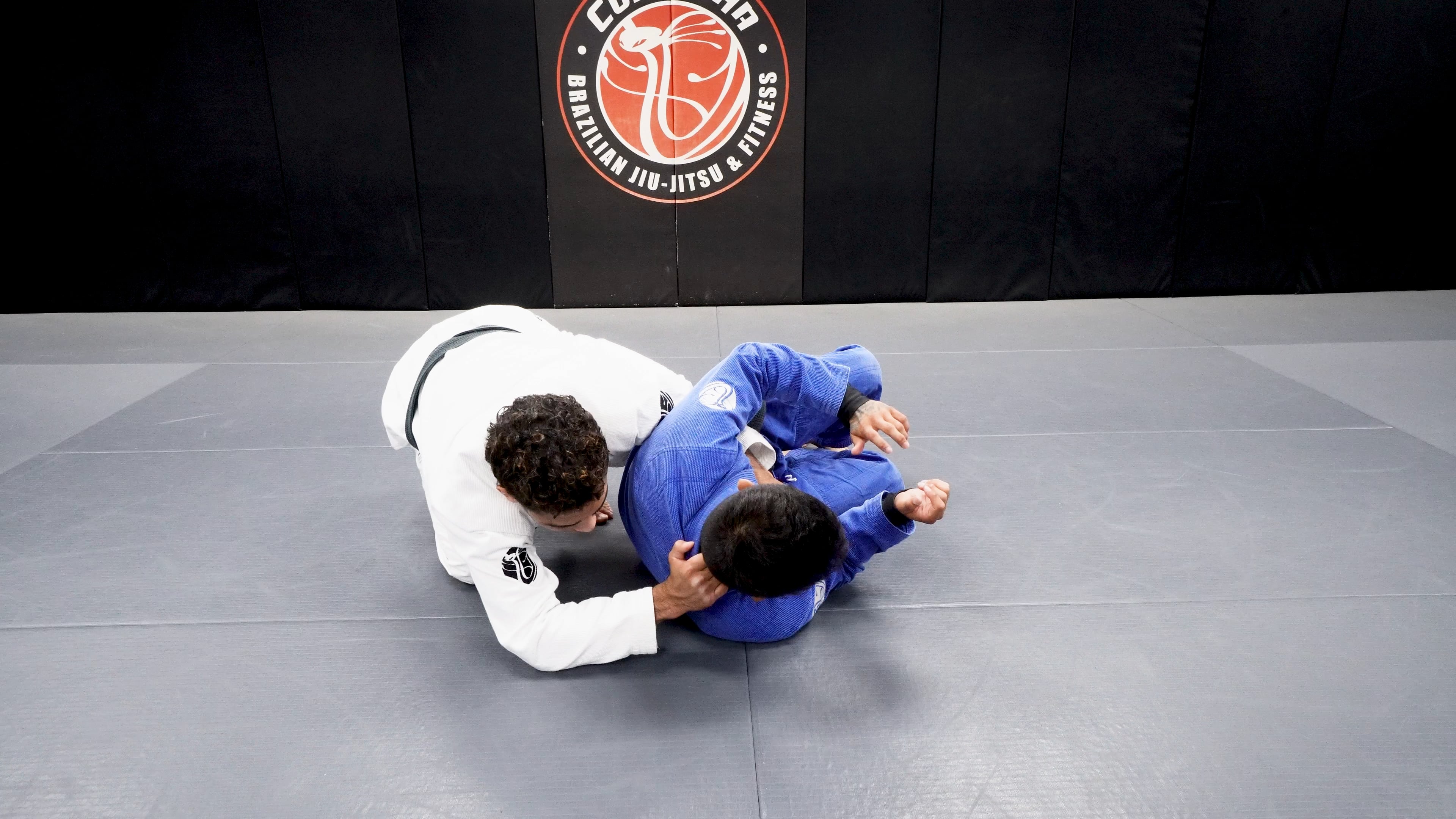 Gorilla Walk, Back Take, Rear Naked Choke, Zipper Choke, Back Defense