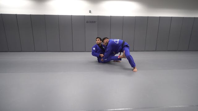 Golden Grip 4 Sweep Series