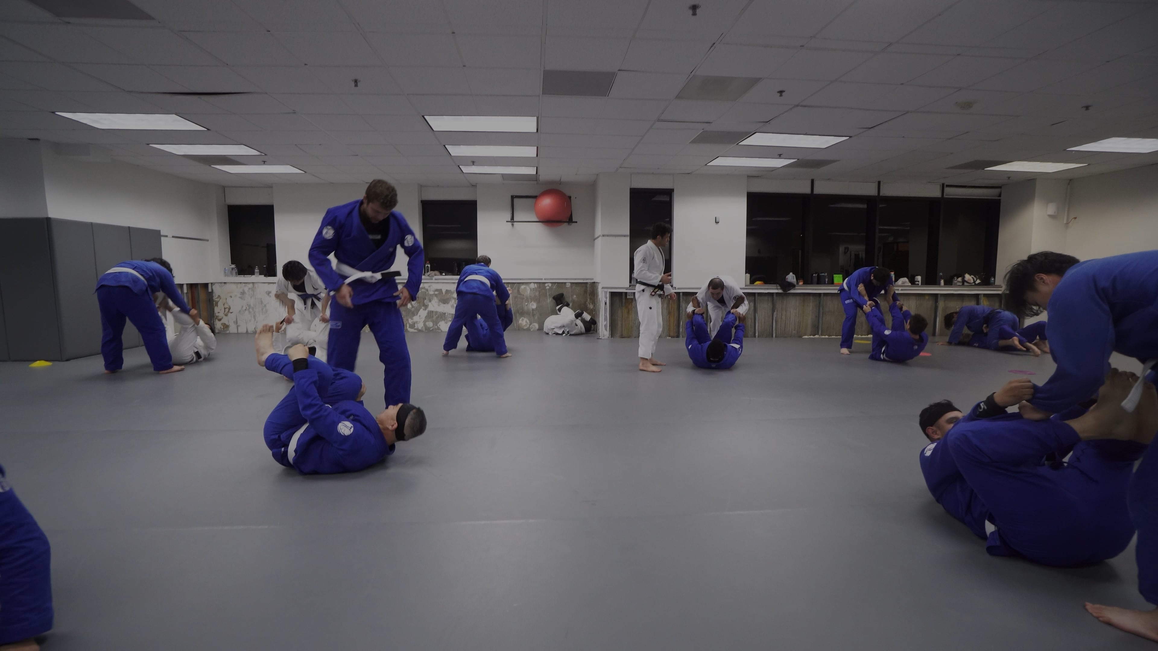 Drilling: Spider Guard Pass